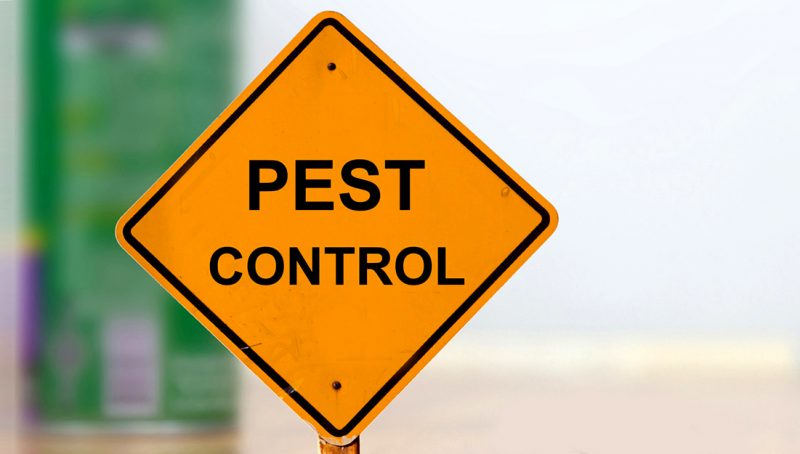 Pest Control Banner With Insecticide Can In The Background