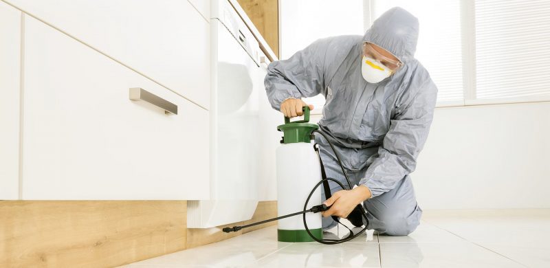 Spraying the Nooks and Crannies