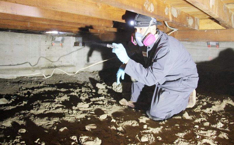 Finding Termites Under the Floor