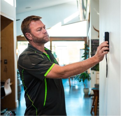 Termite Inspection
