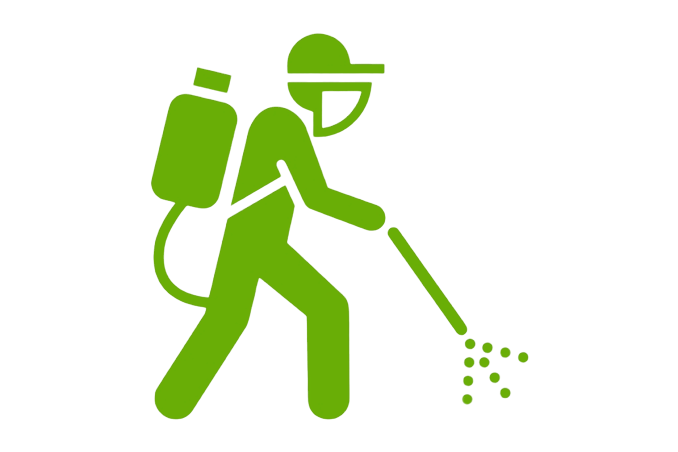 Termite Spray Treatment