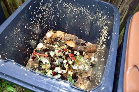 Flies on bin