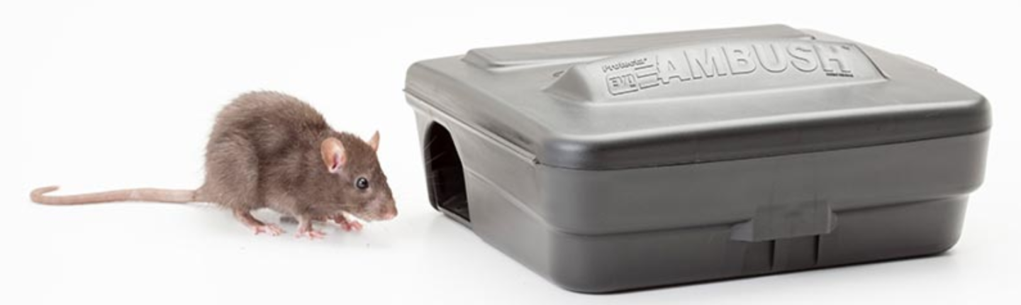 HACCP RAT CONTROL