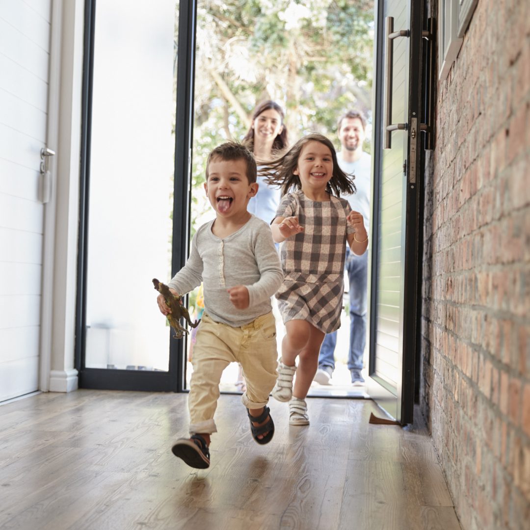 Pre purchase termite inspections Pre purchase termite inspections