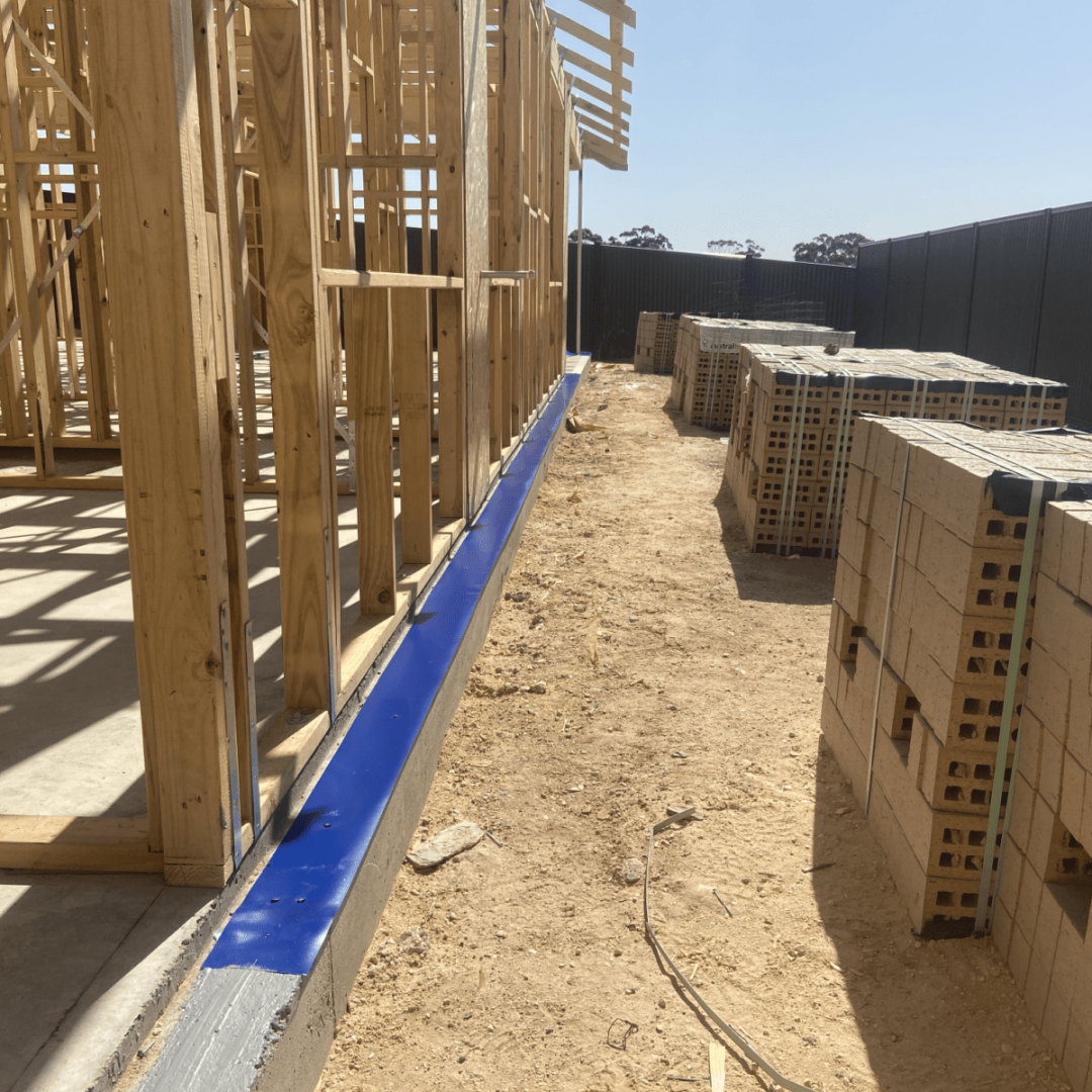 construction termite control construction termite control